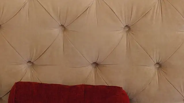 Snapshot of SarahLynz chatting on February 2025 04:10:02 PM SarahLynz online show from February 2025 04:10:02 PM