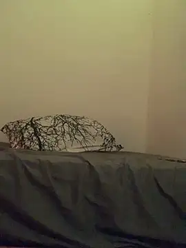 Marielasanchez online show from February 2025 03:36:02 AM