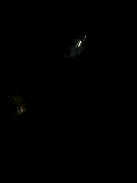 perlita05 online show from November 2025 02:28:02 AM