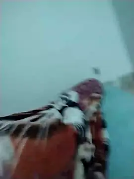 lm279 online show from December 2024 04:04:01 PM