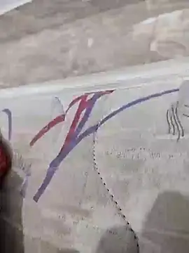 lm279 online show from February 2025 01:44:02 PM