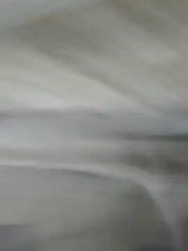 lm279 online show from November 2025 03:58:02 PM