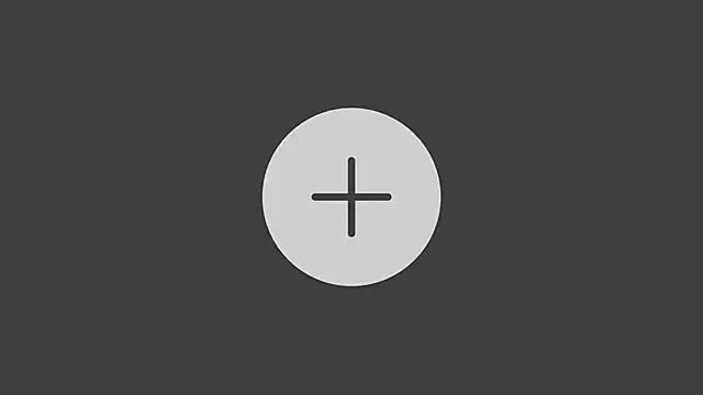 StellarTeam online show from December 2024 07:49:02 PM