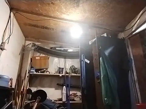 angelcachondo199211 online show from May 2026 04:14:02 PM
