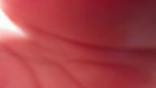 Wet Girlxxx online show from February 2025 01:02:01 AM