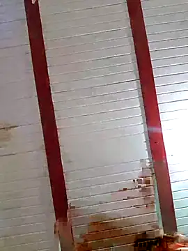 Zaralu  online show from October 2025 07:00:01 PM