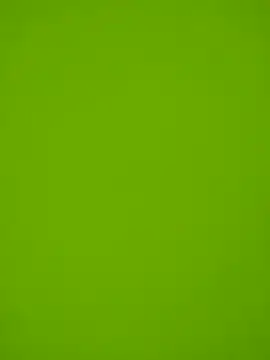 danilogarcia33 online show from January 2025 03:16:01 PM