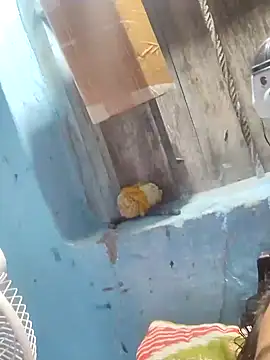 Natasha-In69 online show from January 2025 10:10:01 PM