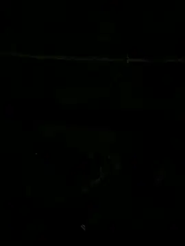 SnapIDRakesh4 online show from November 2025 08:22:01 PM