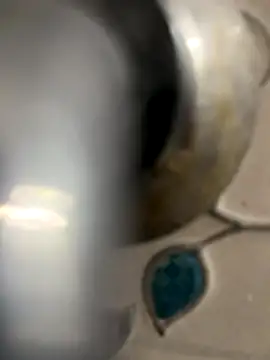 Shakeace1 online show from December 2025 03:28:02 PM