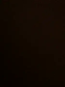 Lona Lina online show from January 2025 12:28:02 PM