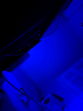 hotNReady6969 online show from October 2025 10:14:01 AM