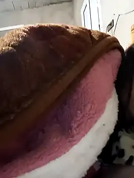 Snapshot of jijijoudia chatting on January 2025 12:37:01 PM jijijoudia online show from January 2025 12:37:01 PM