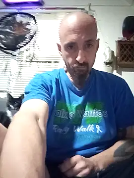 Snapshot of armdy371 chatting on May 2026 02:01:01 PM armdy371 online show from May 2026 02:01:01 PM