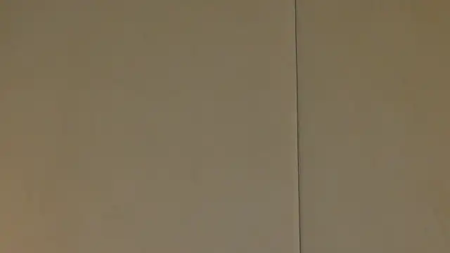 NattyDevon online show from February 2025 06:39:01 AM