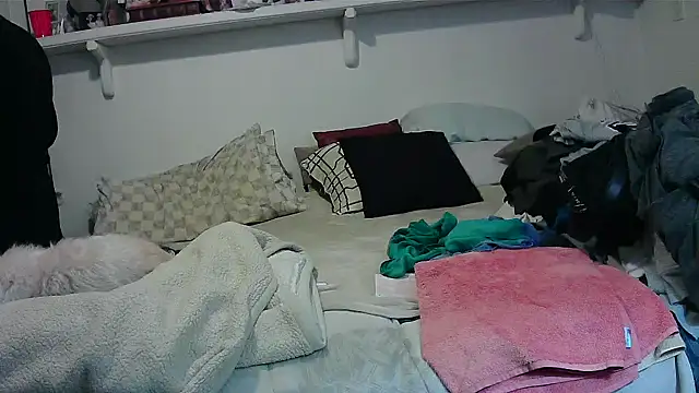 Hand69someguy online show from November 2025 12:55:01 AM