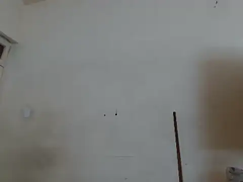 tinagiant online show from March 2025 11:56:01 AM