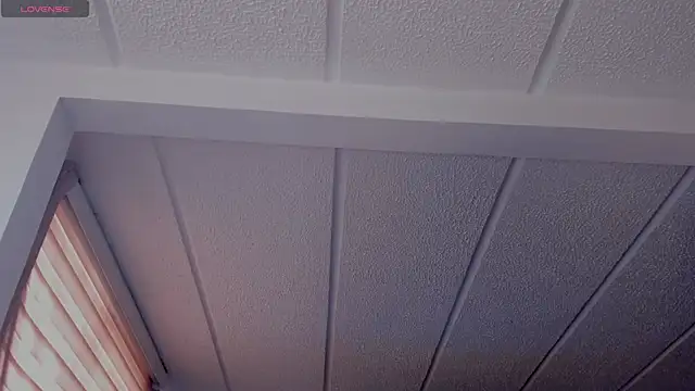 Charlotte greys online show from September 2025 08:23:01 PM