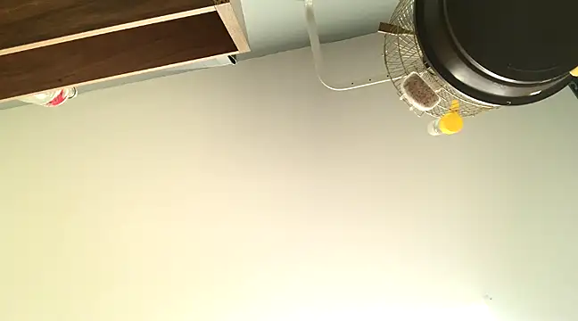 Snapshot of themany29 chatting on January 2025 08:17:02 PM themany29 online show from January 2025 08:17:02 PM