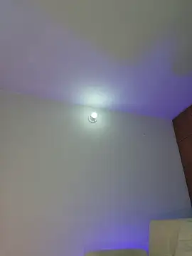 mich bittersweet online show from April 2026 11:31:02 PM