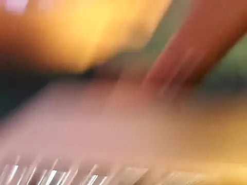 big8dall online show from September 2025 05:51:02 PM