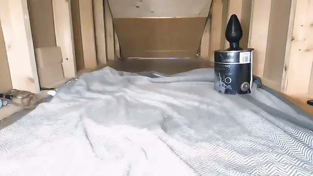 cbtbetaloser online show from November 2025 04:56:01 AM