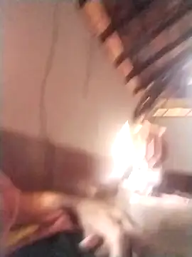 rajshank online show from December 2024 10:01:02 AM