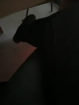 homidor online show from December 2024 02:16:01 PM