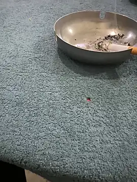 homidor online show from January 2025 06:41:02 PM