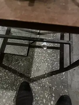 homidor online show from January 2025 06:44:01 PM