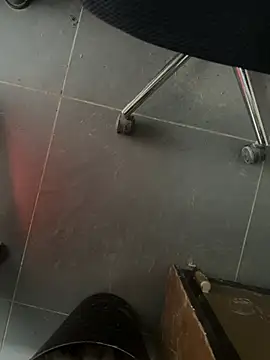 homidor online show from February 2025 01:54:02 PM