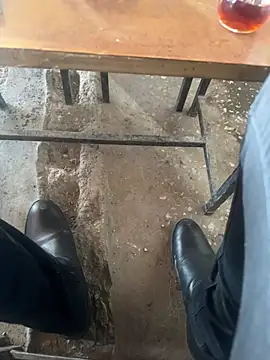 homidor online show from March 2025 01:49:01 PM