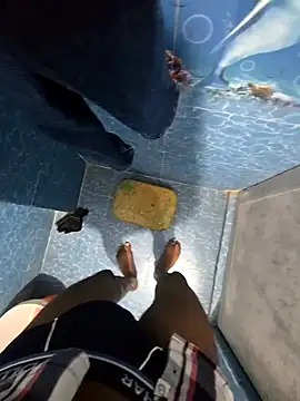 Snapshot of SageElement2 chatting on February 2026 08:16:02 PM SageElement2 online show from February 2026 08:16:02 PM