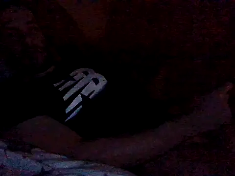 Vicktore007 online show from October 2025 05:25:01 PM