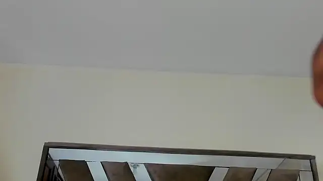 sara williams01 online show from February 2025 01:11:02 PM