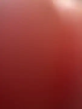 portugadopau online show from September 2025 04:07:02 PM