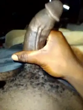 January256 online show from January 2026 11:52:01 PM