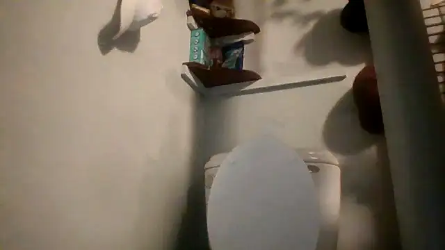 Snapshot of lilbishmiss chatting on May 2026 12:29:02 AM lilbishmiss online show from May 2026 12:29:02 AM