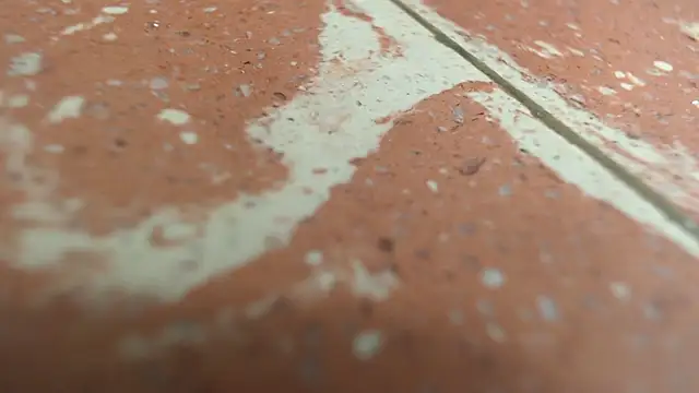 isabella jazz online show from September 2025 03:24:01 PM