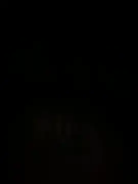 islandvybee55 online show from December 2024 07:02:02 AM