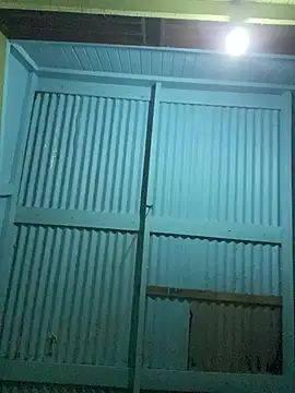 islandvybee55 online show from February 2026 03:55:02 AM