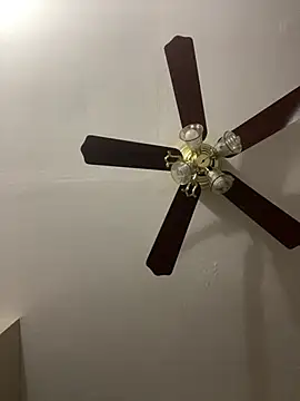 islandvybee55 online show from March 2026 02:56:01 PM