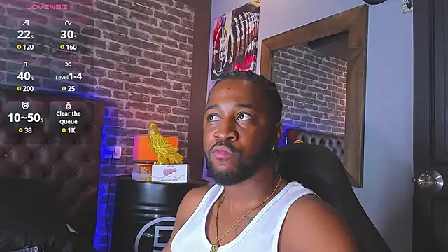 Drake Nassir4 online show from January 2025 08:26:01 PM