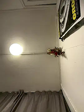 Snapshot of wolfwhite95 chatting on November 2025 11:57:02 PM wolfwhite95 online show from November 2025 11:57:02 PM