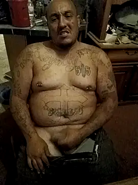 wilsons12 online show from October 2025 02:34:01 AM