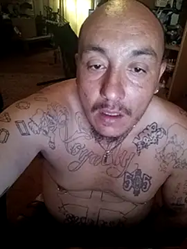 wilsons12 online show from March 2026 08:30:01 PM