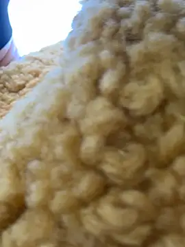 Snapshot of moneymaker_taipei chatting on February 2026 07:29:02 AM moneymaker taipei online show from February 2026 07:29:02 AM