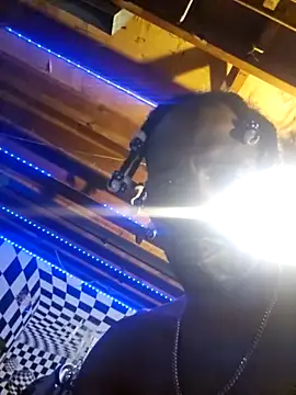 Snapshot of Cpp3377 chatting on March 2026 09:13:01 AM Cpp3377 online show from March 2026 09:13:01 AM