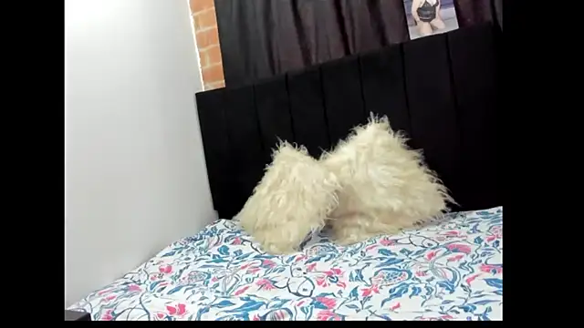 Evaaross 2345 online show from December 2024 01:28:02 PM