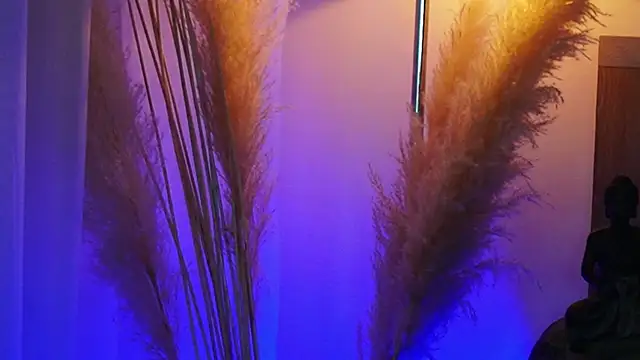 AliceShazaham  online show from September 2025 07:08:01 AM